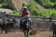 USA-Wyoming-Pryor Mountains Working Ranch